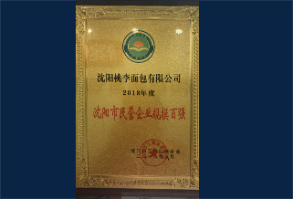 2018年度沈陽(yáng)市民營(yíng)企業(yè)規(guī)模百?gòu)?qiáng)